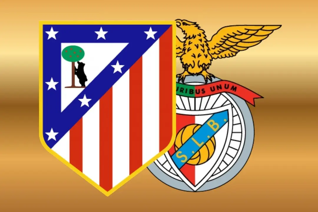 Dise&ntilde;o sin t&iacute;tulo - 2026-05-10T174521.839
