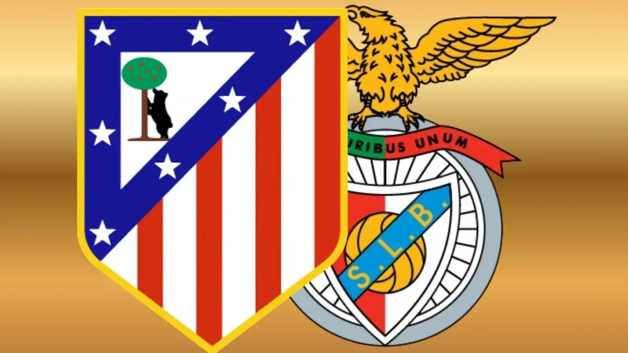 Dise&ntilde;o sin t&iacute;tulo - 2026-05-10T174521.839