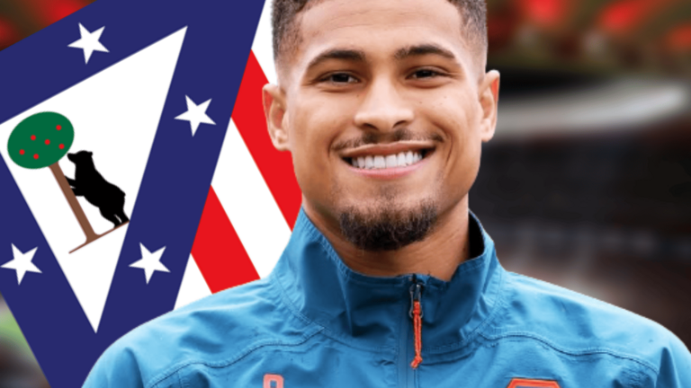 Joao Gomes, muy cerca del Atl&eacute;tico de Madrid | Fuente (@joaogomes.01, Canva)