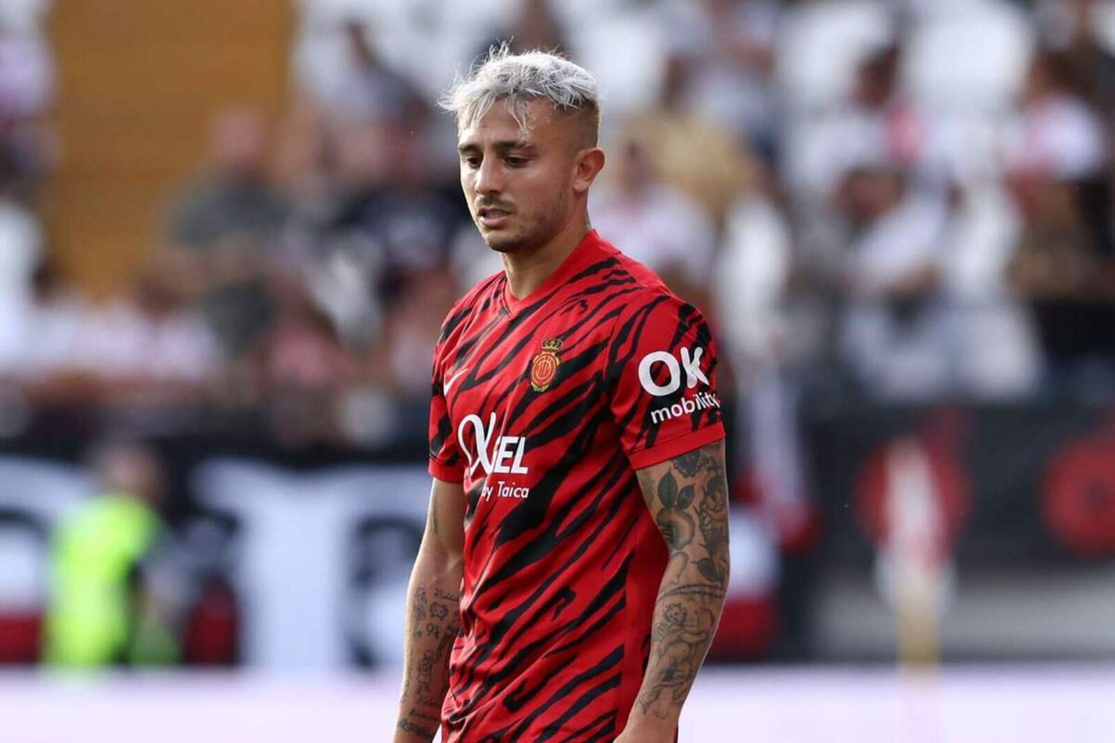 Pablo Maffeo | Europa Press