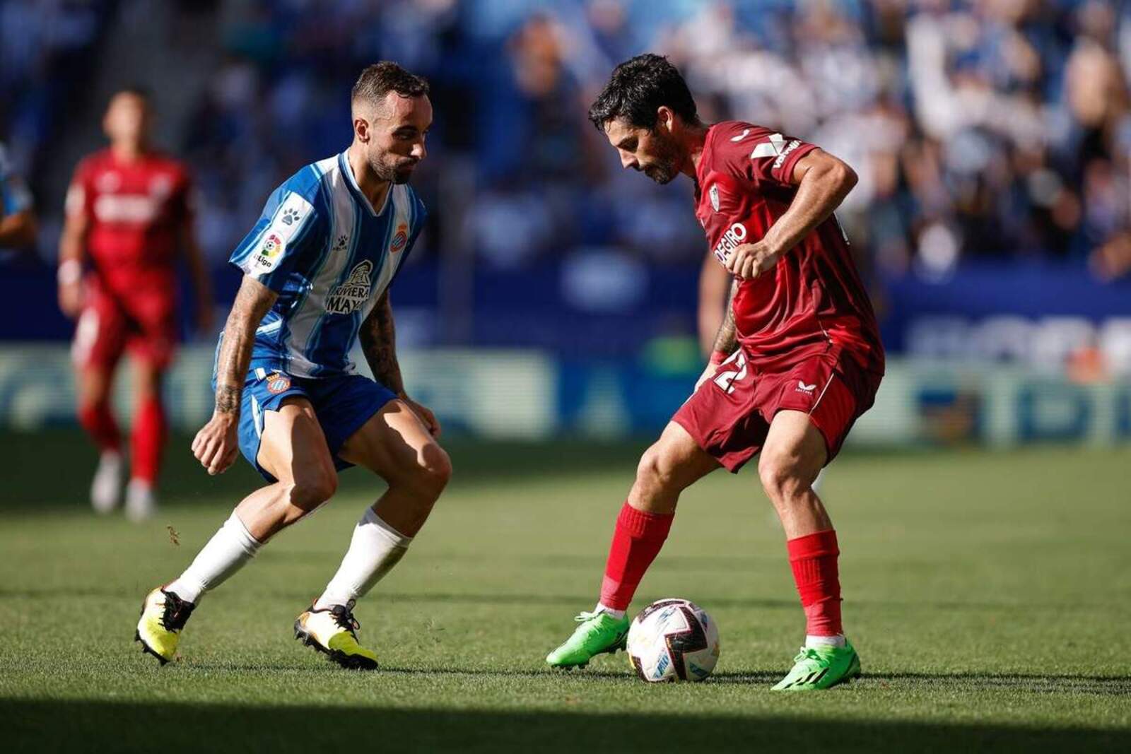 Isco sería el recambio de Sergi Darder