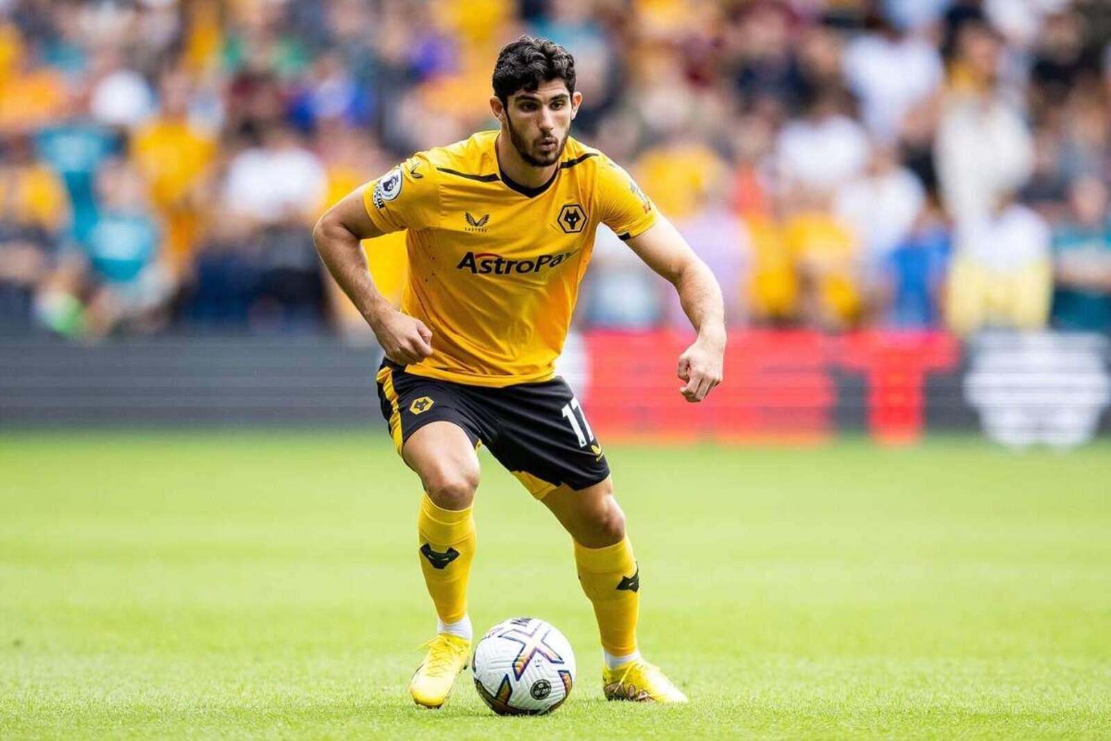 Gonçalo Guedes es el último deseo de Manuel Pellegrini
