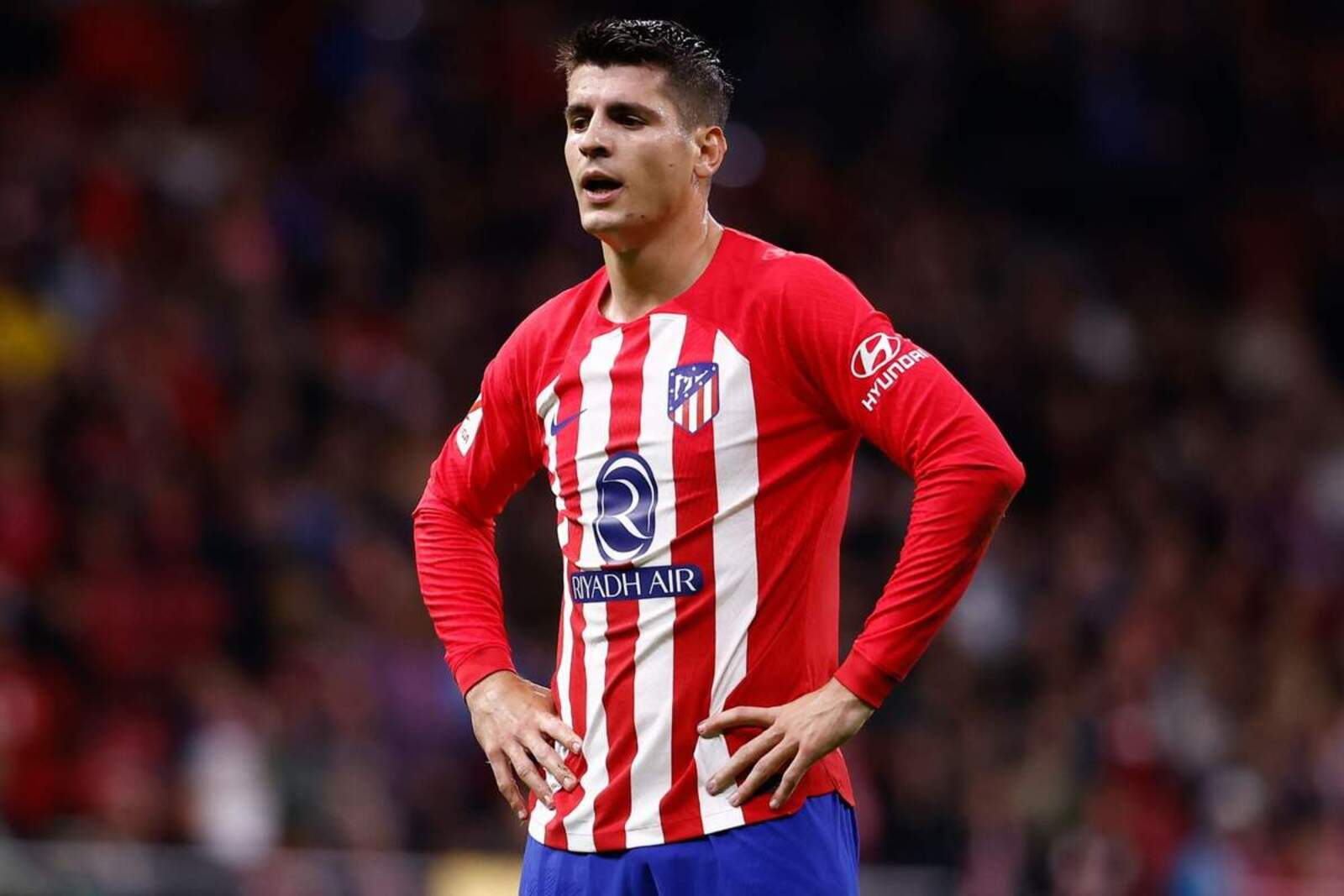 Álvaro Morata es el máximo goleador del Atlético esta temporada