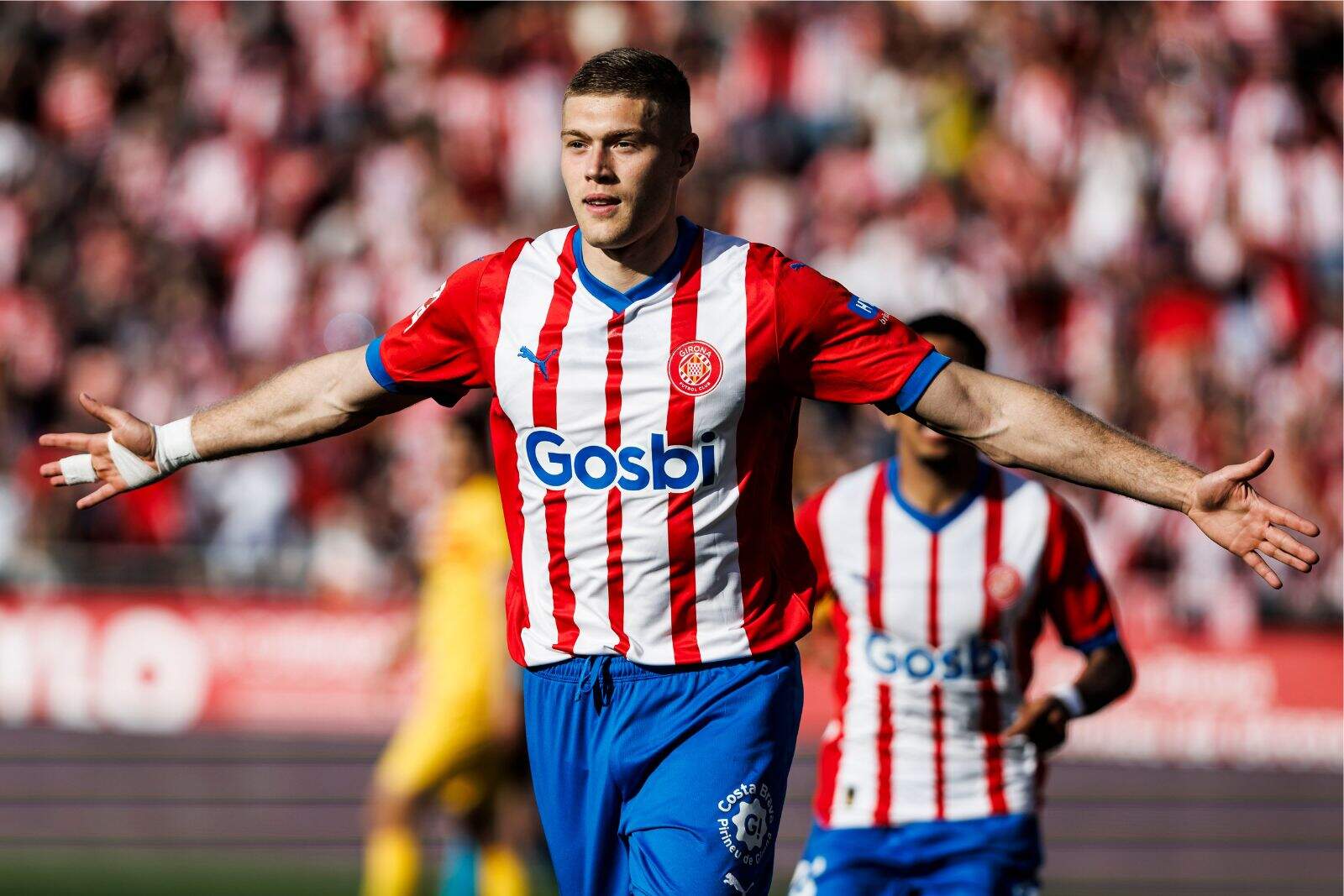 Dobvyk en un partido