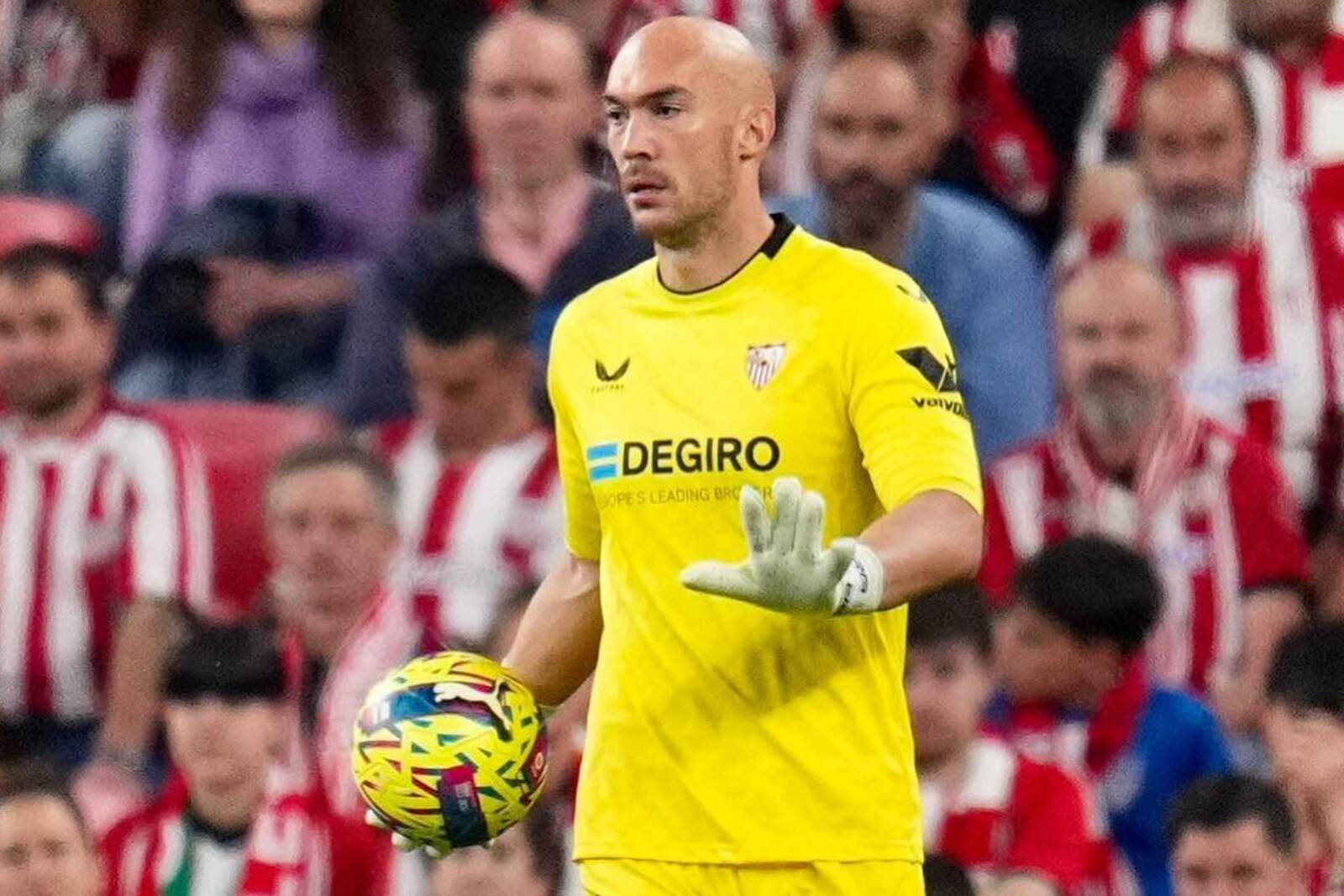 Marco Dmitrovic