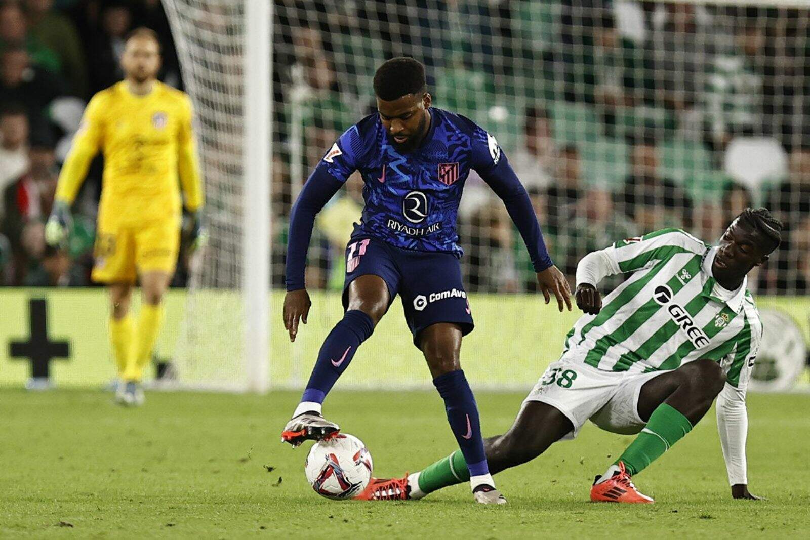 Lemar la pasada temporada