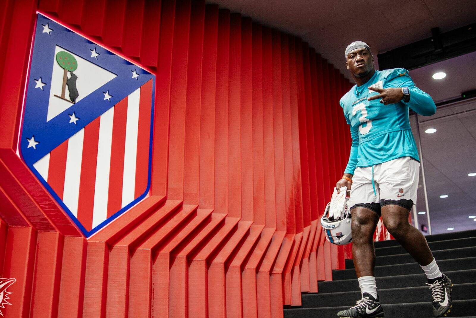 El entrenamiento de los Dolphins