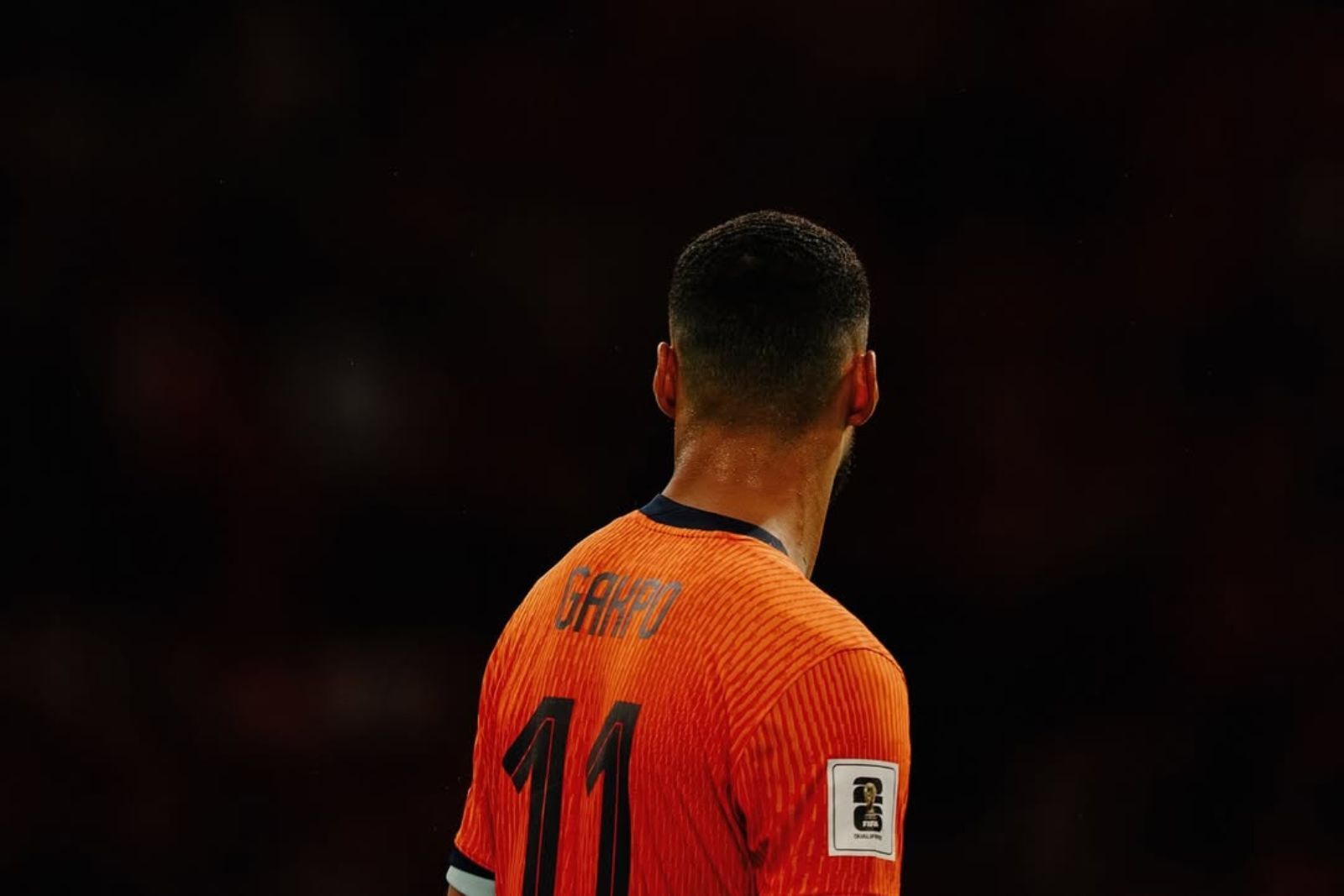Las cifras de Gakpo, pretendido por el Atlético de Madrid | Fuente: Cody Gakpo (Instagram)