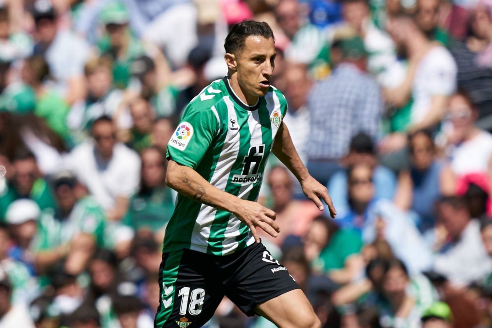 Guardado en un partido: X Real Betis