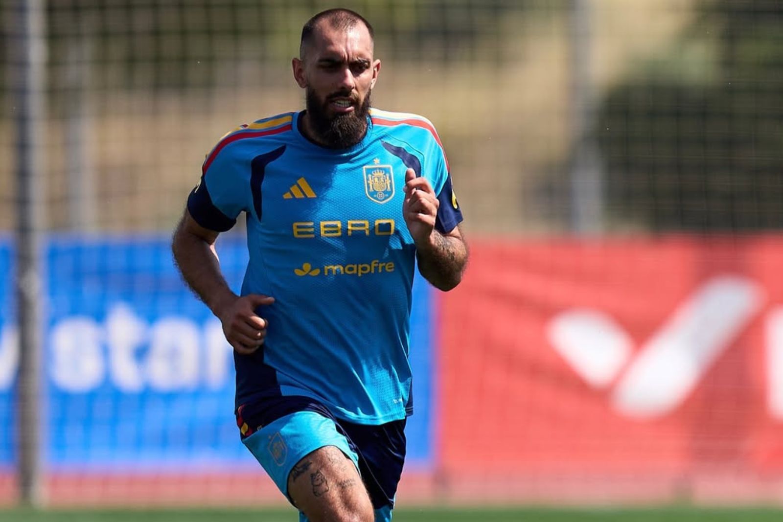 El panda entrenando. Fuente (borjaiglesias9)